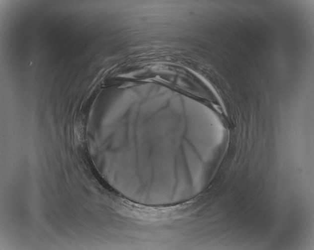 X0000080750035200701051222