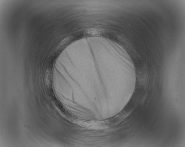 X0000080750036200701051222