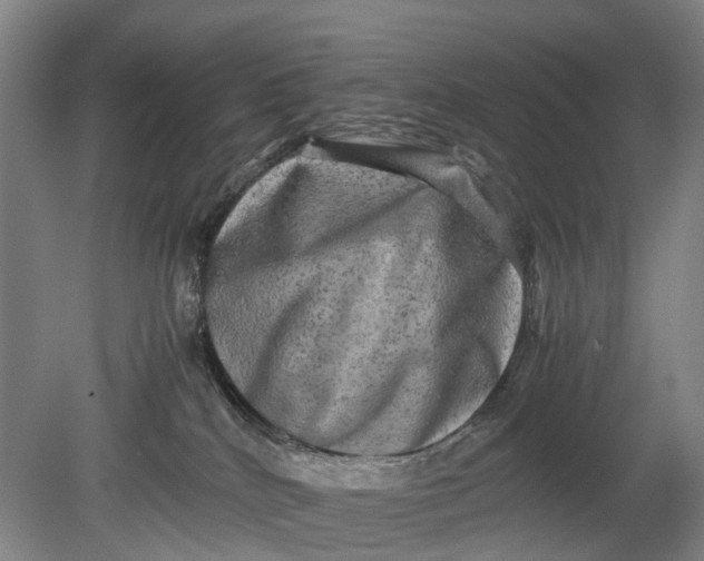 X0000080750040200701051222