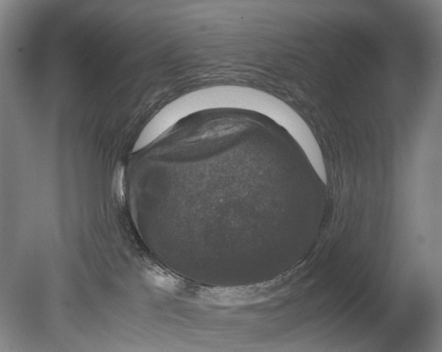 X0000080750041200701051222