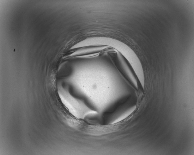 X0000080750045200701051221