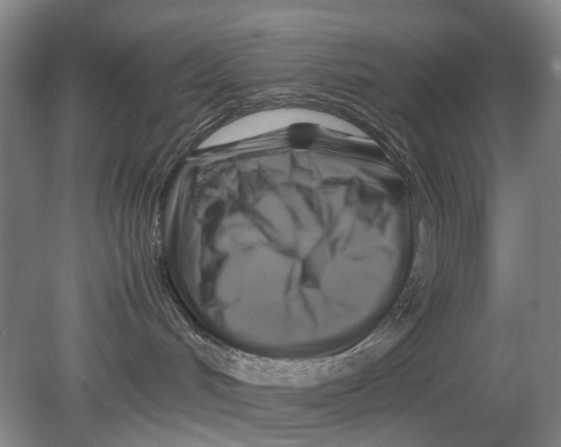 X0000080750048200701051221