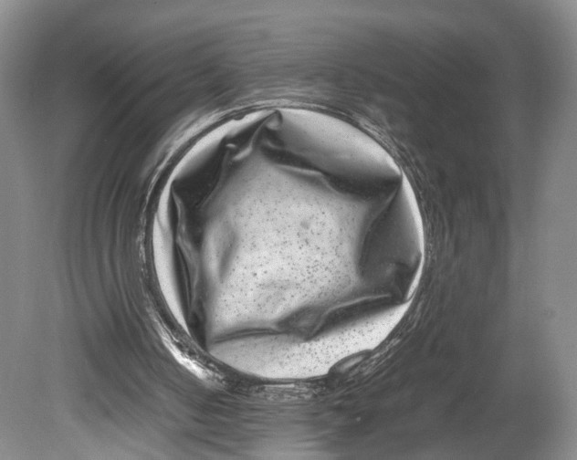 X0000080750050200701051221