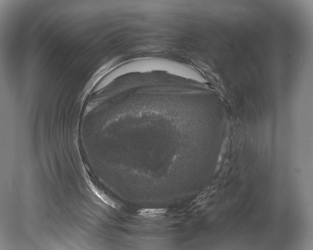 X0000080750051200701051221