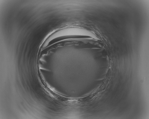 X0000080750052200701051221