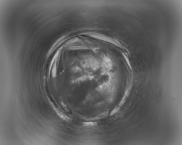 X0000080750053200701051221