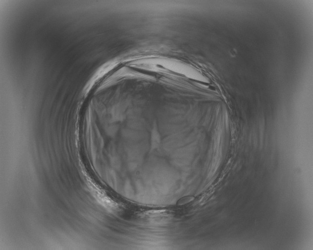 X0000080750054200701051221
