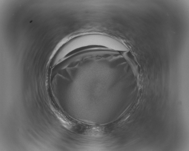 X0000080750056200701051221