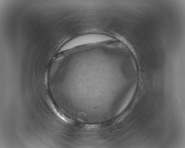 X0000080750057200701051221