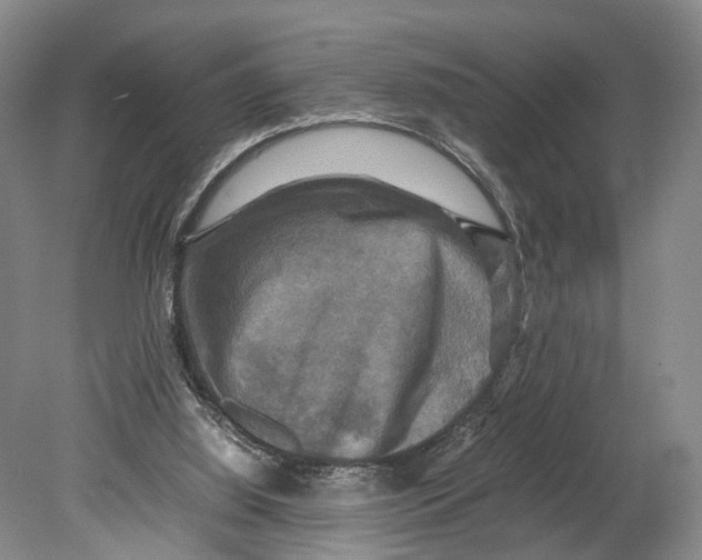 X0000080750060200701051221