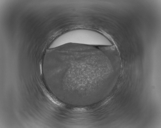 X0000080750061200701051221