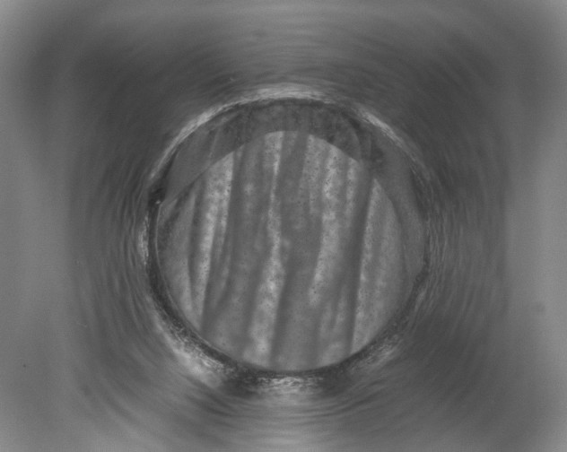 X0000080750064200701051221