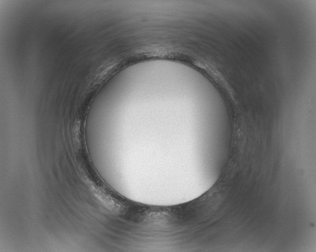 X0000080750066200701051221
