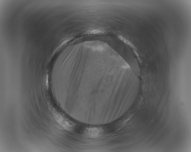 X0000080750067200701051221