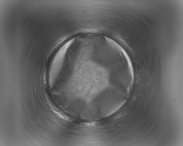 X0000080750068200701051221