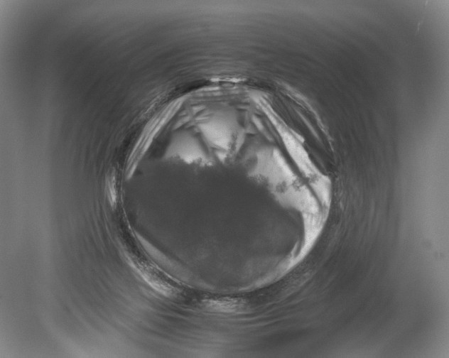X0000080750069200701051221