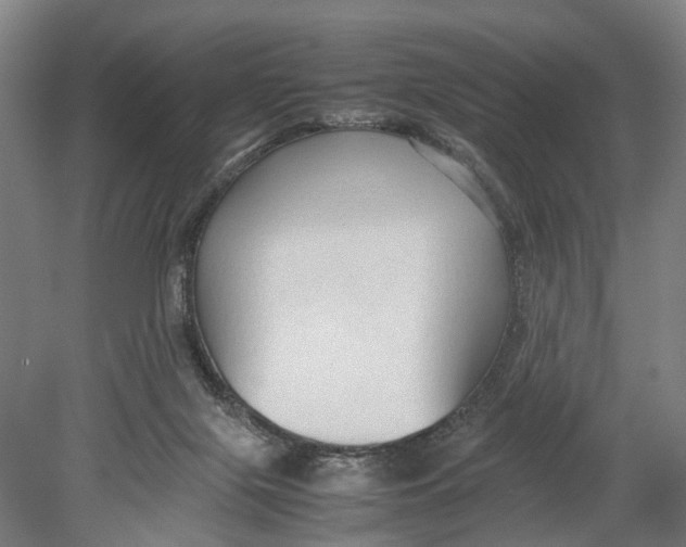 X0000080750071200701051221