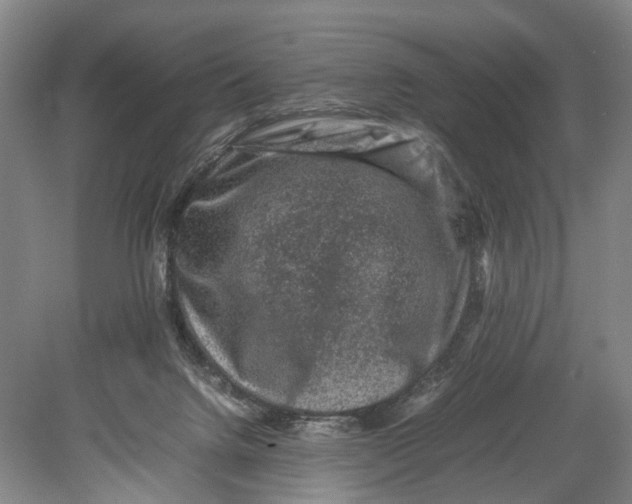 X0000080750072200701051221