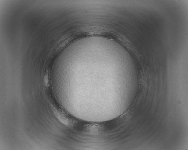 X0000080750074200701051221