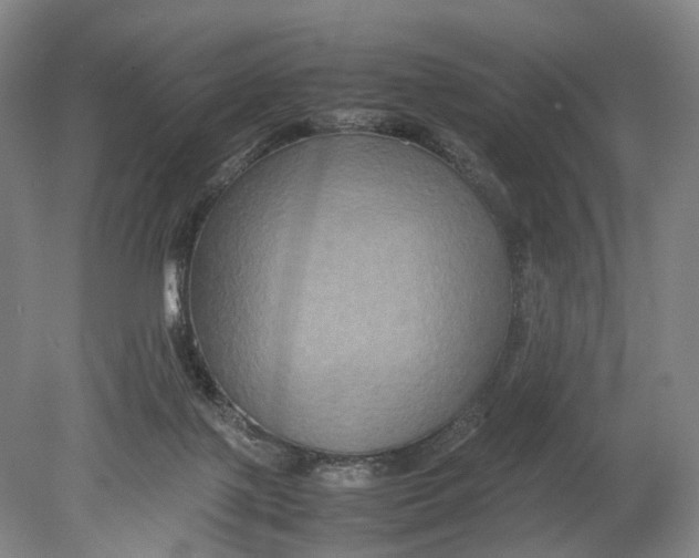X0000080750075200701051221