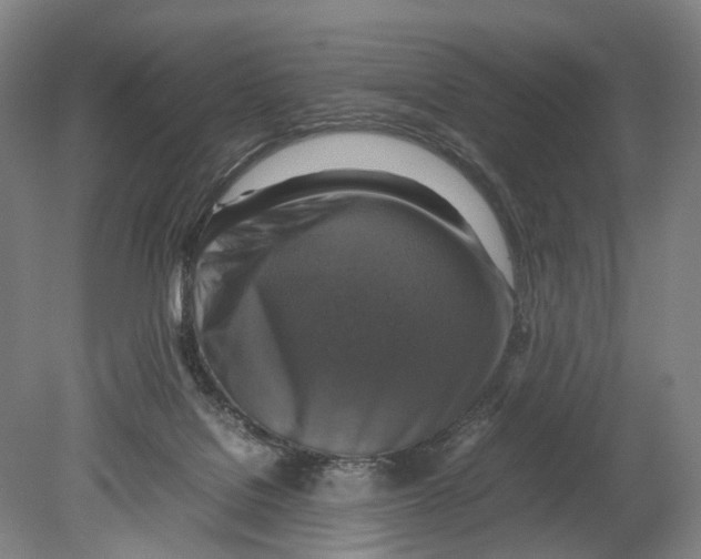 X0000080750076200701051221