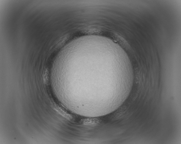 X0000080750077200701051221