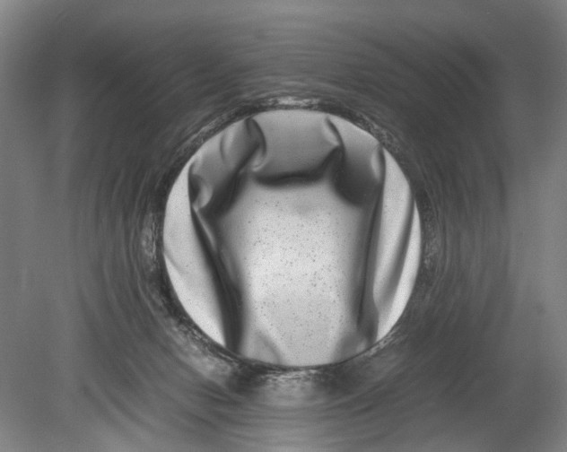 X0000080750078200701051221