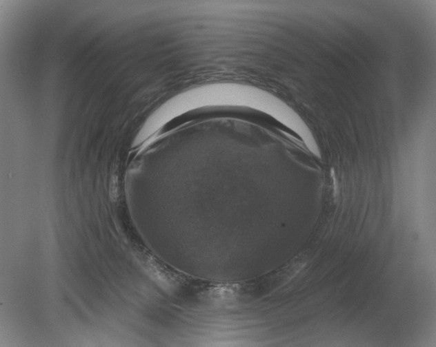 X0000080750080200701051221