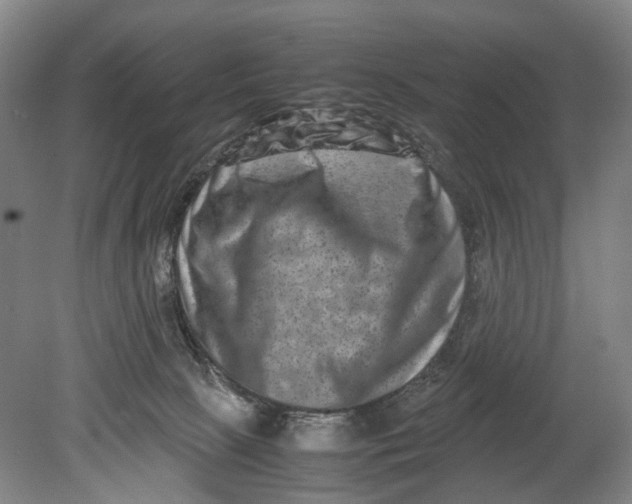 X0000080750081200701051221
