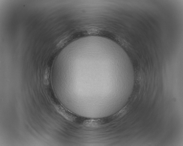 X0000080750082200701051221