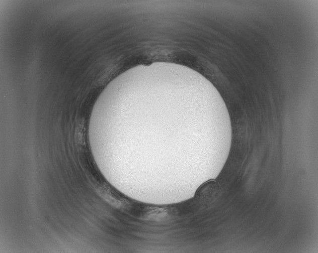 X0000080750083200701051221