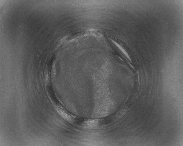 X0000080750084200701051221