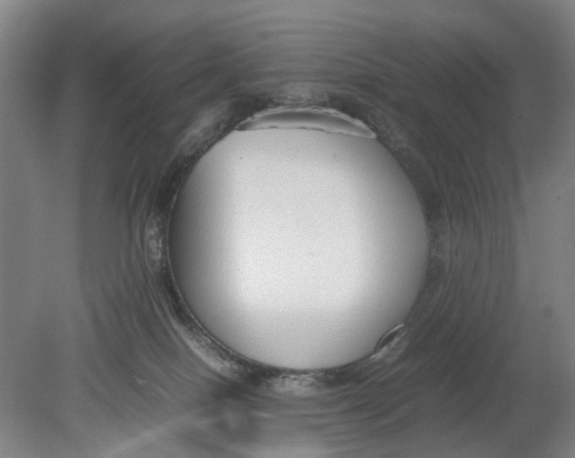 X0000080750086200701051221