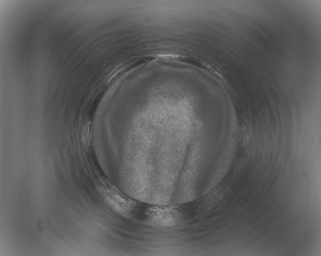 X0000080750093200701051221
