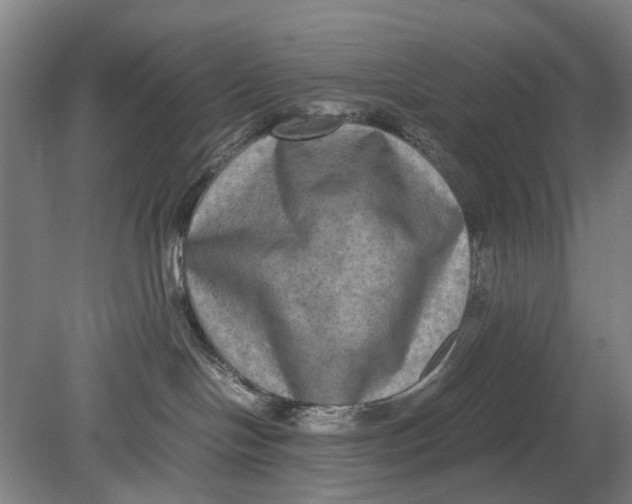 X0000080750094200701051221