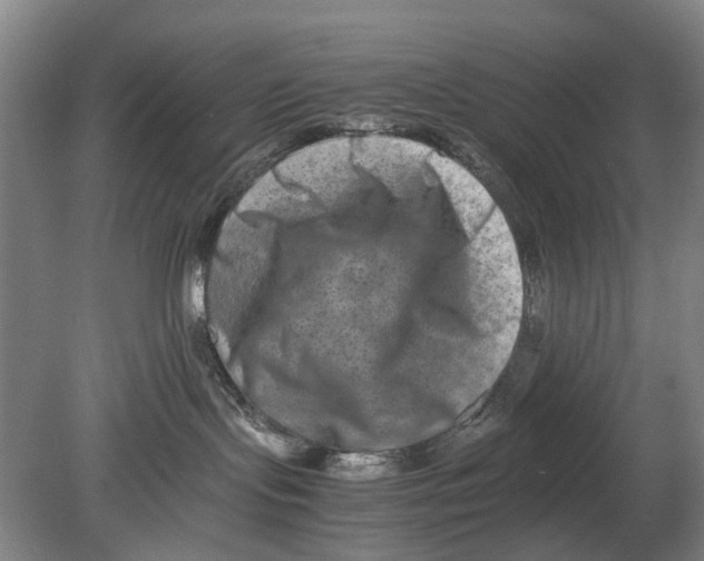 X0000080750095200701051221
