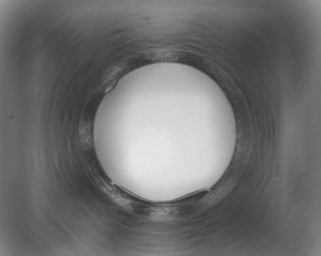 X0000080750096200701051221