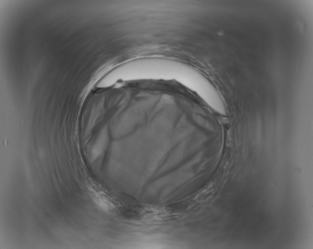 X0000080750099200701051221