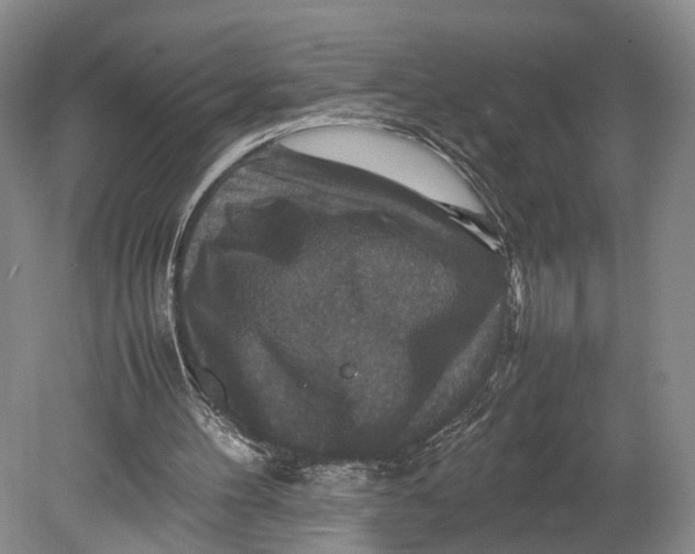 X0000080750100200701051221