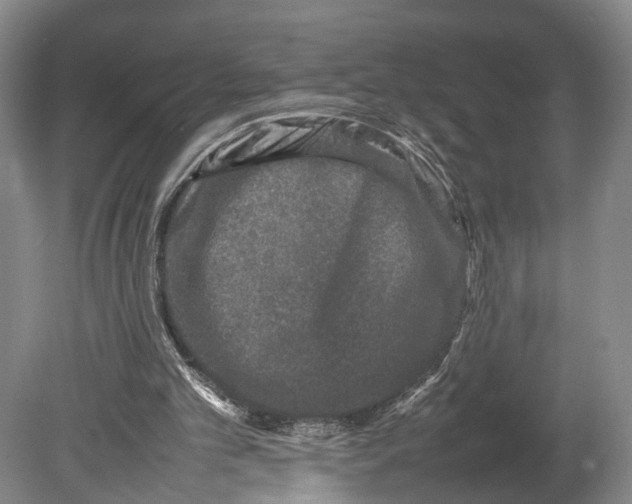 X0000080750101200701051221