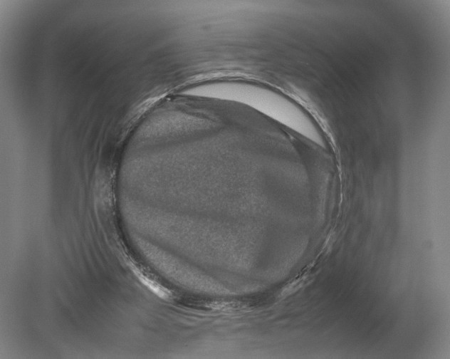 X0000080750105200701051220