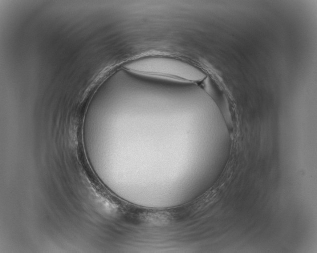X0000080750106200701051220