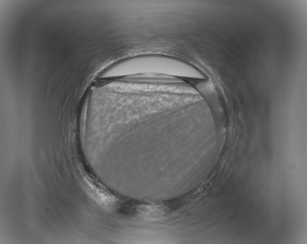 X0000080750107200701051220