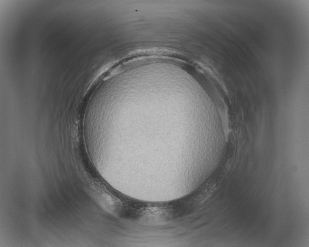 X0000080750111200701051220