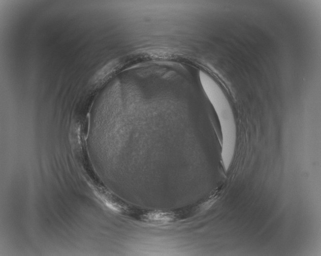 X0000080750117200701051220
