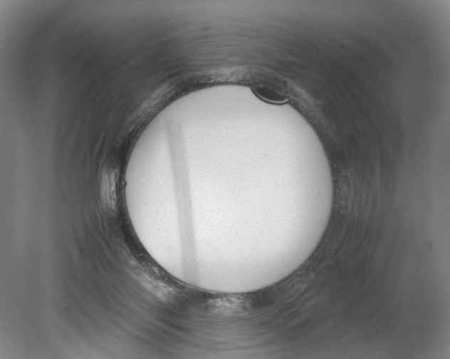 X0000080750118200701051220