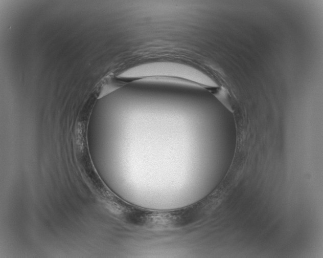 X0000080750121200701051220