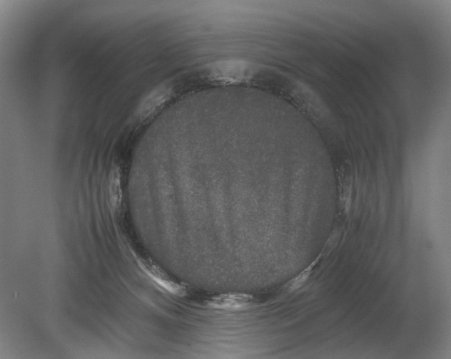 X0000080750128200701051220