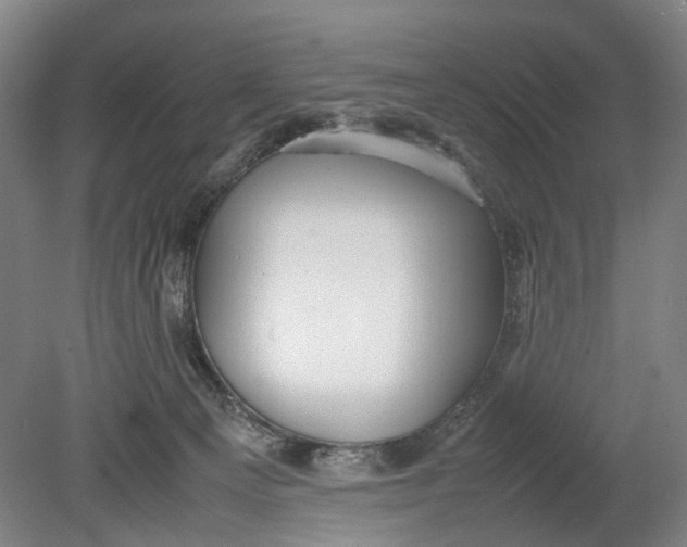 X0000080750129200701051220