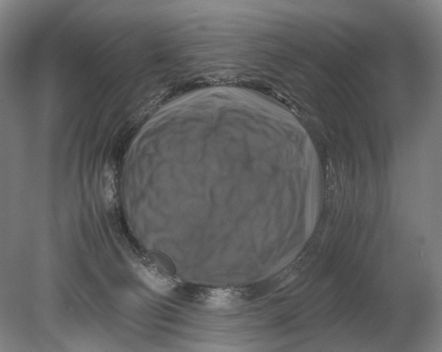 X0000080750130200701051220